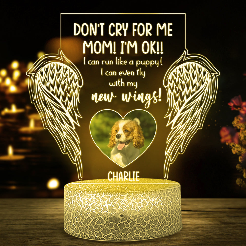 94981-Dog Mom Gift Memorial Pet Don't Cry For Me Personalized Night Light H2