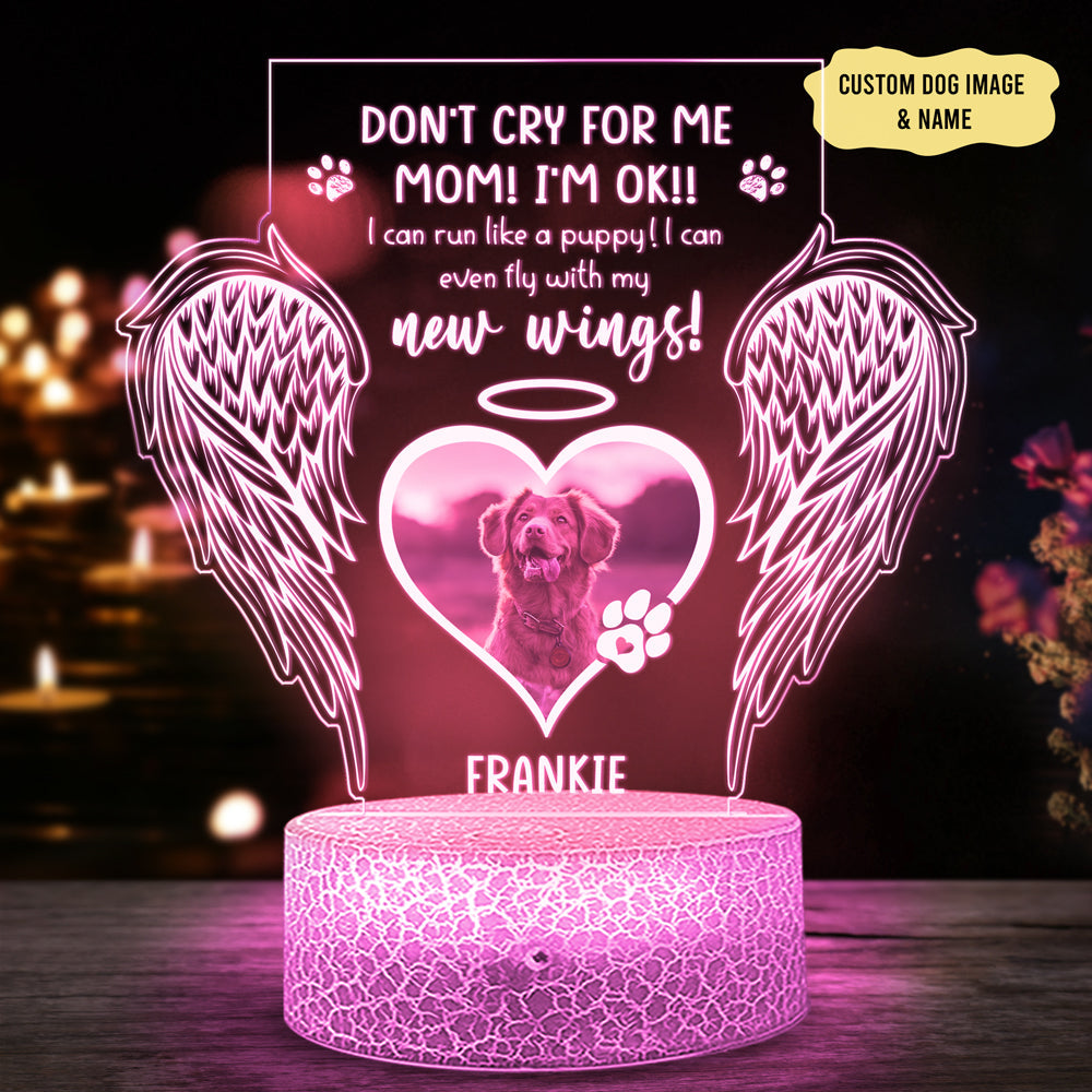 95159-Dog Mom Gift Memorial Pet Fly With New Wings Personalized Night Light H2