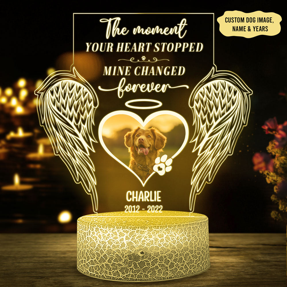 95165-Dog Lover Gift Memorial Pet Heart Stopped Personalized Night Light H3